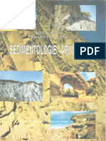 Sedimentologie Aplicata PDF