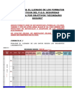 Manual para El Llenado de Los Formatos Vecindario Seguro