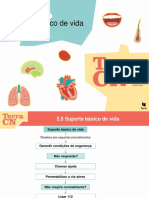 Suporte Básico de Vida (Mapa de Conceitos)