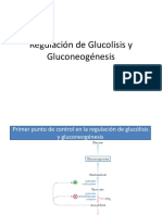 9) Regulacion_de_Glucolisis_y_Gluconeogenesis_y_via_de_la_pentosa.pptx