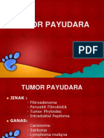 Penyakit Payudara