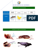 Formas corporais dos animais