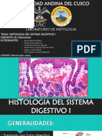 Histología Del Sistema Digestivo I