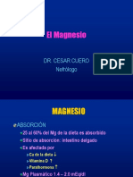 Magnesio