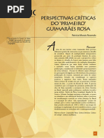 Perspectivas críticas de Rosa