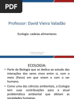 Aula 01 - Ecologia - Cadeia Alimentar