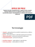 Efele de Piele