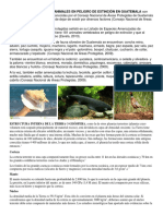 Adaptación de Especies Animales en Peligro de Extinción en Guatemal1