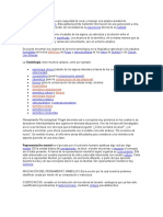 El Pensamiento Simbólico Es La Capacidad de Crear y Manejar Una Amplia Variedad de Representaciones Simbólicas