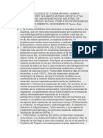 Nuevo Documento de Microsoft Office Word