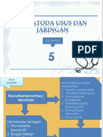 Nematoda Usus Dan Jaringan