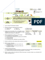 Ejer Energia PDF