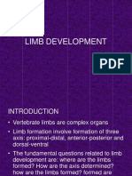 12. Limb Development