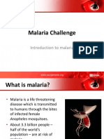 Malaria Challenge Presentation