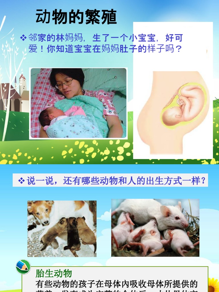胎生和卵生 | PDF