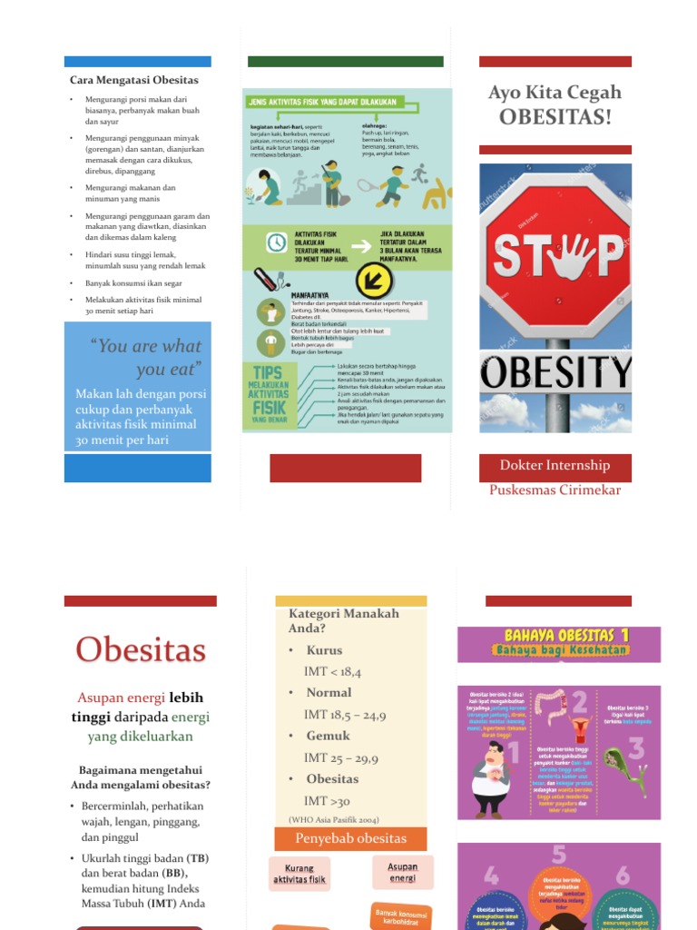 Leaflet Obesitas Pdf
