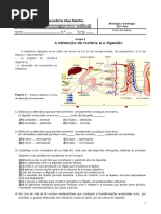 Ficha formativa biologia 