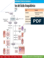 Mediadores de Inflamacion