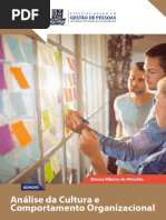 eBook Analise Cultura Comportamento Organizacional-Especializacao Em Gestao de Pessoas UFBA