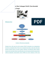 Farmakologi Dasar Obat Golongan NSAID