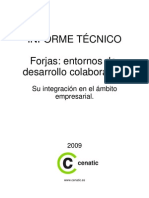 informe_forjas_cenatic