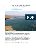 Cinco Razones Por Las Cuales El Perú Debe Crear Áreas Marinas Protegidas