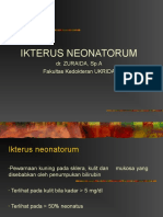Ikterus neonatorum.ppt