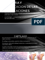 anatomiayclasificaciondelasarticulaciones-130225203653-phpapp01.pptx