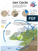 Water Cycle Infographic