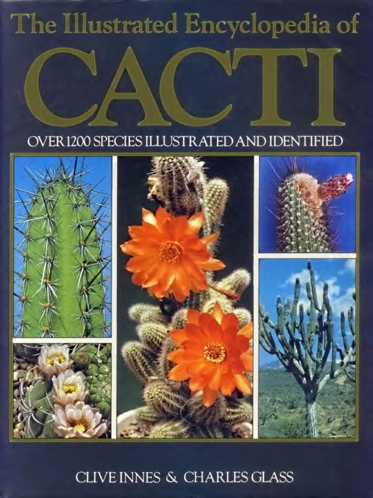 The Illustrated Encyclopedia of Cacti by Clive Innes Genus Taxonomy