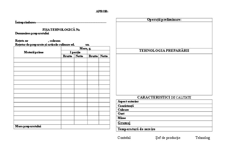 Model Fisa Tehnologica | PDF