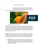 Cultivo de Papaya