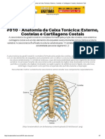 #010 – Anatomia da Caixa Torácica_ Esterno, Costelas e Cartilagens Costais _ Anatomia Fácil.pdf