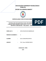 perfil minas V.docx