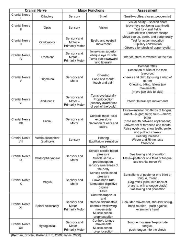 Cranial Nerve Chart | PDF | Organ (Anatomy) | Nervous System