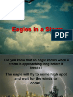 Eagles in A Storm