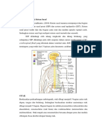 Anatomi Fisiologi Sistem Saraf