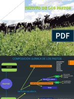 valorpastos-131018001727-phpapp02.pdf