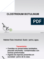 Clostridium s