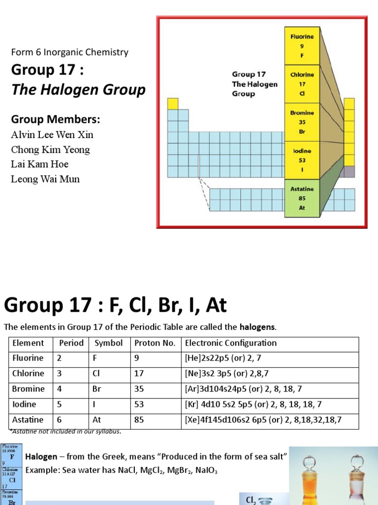 Overview of Halogens in Group 17 | PDF | Chlorine | Natural Sciences