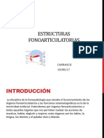 Estructuras Fonoarticulatorias