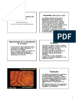 20 - Fisiologia de la Reproduccion en el Macho.pdf