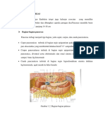 Anatomi Pancreas Gue Bingung Part 2