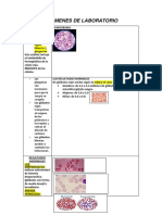 Examenes de Laboratorio