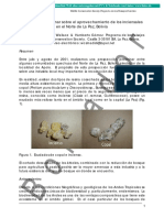 Estudio_preliminar_Inciensales_Borrador.pdf