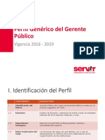 CGP Perfil Gerente Publico