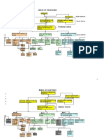 Arbol de Problemas y Objetivos