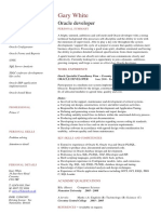 Oracle Developer CV PDF