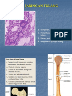 Histologi Jaringan Tulang