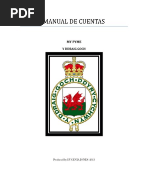 Manual De Cuentas Manual De Cuentas My Pyme